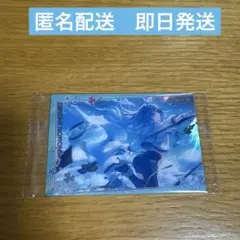 プロセカ　ウエハース11 日野森雫