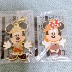 ディズニー ジャングルカーニバル アブーズバザール ゲーム チャーム