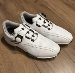 Item thumbnail for item 51b54886-319c-48e8-931c-f74ffd53de77