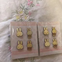 Item thumbnail for item b0e89715-46cd-474b-89c1-36ad1c287cd4