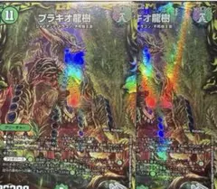 ブラキオ龍樹　ブラキオドランジュ　2枚セット ブラキオ龍樹 2枚セット ブラキオ龍樹」の人気商品一覧 | 安い