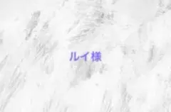 ルイ様専用ページ