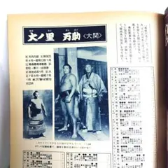 相撲 大の里