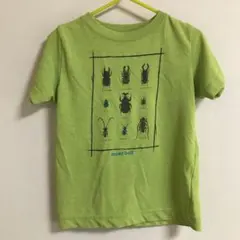 モンベル ウィックロンTシャツ　昆虫