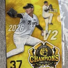 及川雅貴 記念ファイル 連覇 グルメフェア