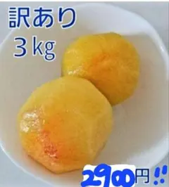 サマーエンジェル スモモ プラム すもものサムネイル