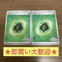 ポケモンカード　いっしょにフレンドバトル　基本草エネルギー　2枚セット