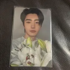 enhypenソンフン宵トレカ