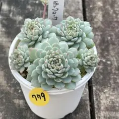 リリーエリー様 リクエスト 3点 まとめ商品