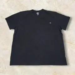 usa Tシャツ