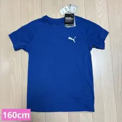 新品　160cm プーマ　Tシャツ
