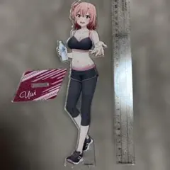 やはり俺の青春ラブコメはまちがっている。L27センチスポーツウェア 由比ヶ浜結衣