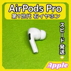 Apple純正 第1世代 AirPods イヤホン右側（R)+充電ケース(1 $_57.JPG?set_id=8800005007