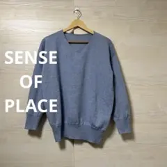 SENSE OF PLACE★コットンタッチ Vネック ニット セーター 薄手