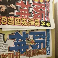 阪神優勝　リーグ優勝号外　2025 ニッカン&スポニチセット