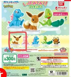 ポケモン しっぽみてみて！フィギュア ３