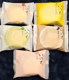 いのち　カスタードケーキ　りんご　パイナップル　めろん　珈琲みるく　白桃　生菓子のサムネイル