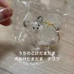 うちの子のけだま 犬のけだまだま　チワワ