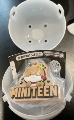 ミニティーンぷっくりめじるしアクセサリー　seventeen セブチ　ディノ