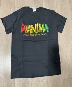 美品 WANIMA LIVE Tシャツ
