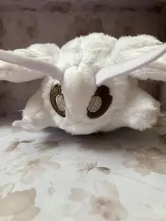 2025年最新】モスのいる日常の人気アイテム - メルカリ