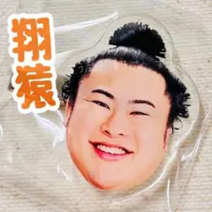 相撲ガチャ【翔猿】フェイスヘアピン