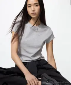 Item thumbnail for item 3143853b-95a0-4ef9-a613-972cdd58fcff