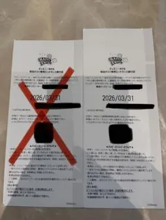 ランド　ハッピーエントリーチケット　6枚　2026/3/14　バラ可 ランド ハッピーエントリーチケット 6枚 2026/3/14 バラ可 2026年最新