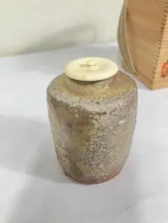 2026年最新】信楽 茶入の人気アイテム - メルカリ