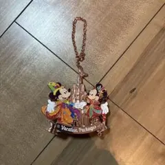ミッキー・ミニー バケーションパッケージ キーホルダー40周年記念 ミッキー・ミニー バケーションパッケージ キーホルダー40周年