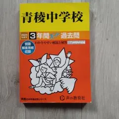 Item thumbnail for item ccc103e6-092a-4bdd-8b25-565bf8cbf37a