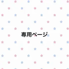 専用ページ