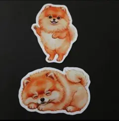 포메라니안 스티커, 귀여운 강아지 스티커, 강아지 동물, 동물, 2개