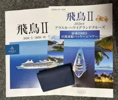 飛鳥III　非売品　 2026年最新】飛鳥Ⅲの人気アイテム - メルカリ