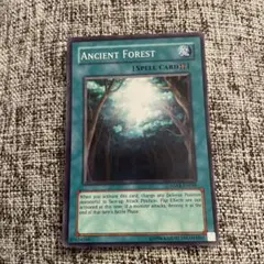 wmjp様 リクエスト 3点 まとめ商品