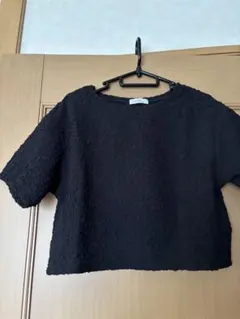 earth黒 半袖 クロップドトップス