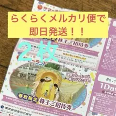急ぎ対応サマーランド株主優待券n2枚セットメルカリ便込み ♤急ぎ対応☆東京サマーランド株主優待券☆3枚セット☆メルカリ便