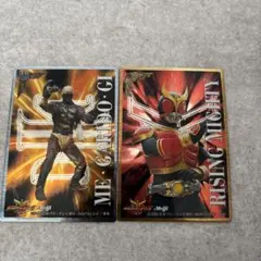 仮面ライダー トレーディングカード 2枚セット