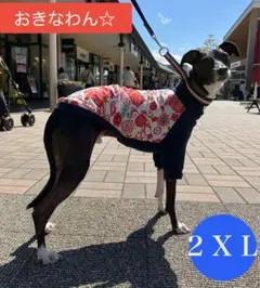 al.nao様 リクエスト 2点 まとめ商品