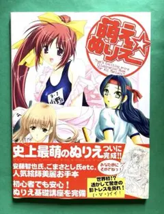 アーケード脱衣麻雀 美少女コレクション スーパーリアル麻雀　注文カード付 セタ「スーパーリアル麻雀P3」インストカード