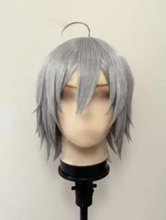 2025年最新】ツイステ コスプレ シルバーの人気アイテム - メルカリ