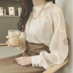 Ambre Neige 2way シアーブラウス　Fのサムネイル
