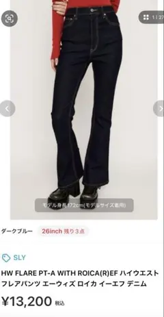 SLY HW FLARE PT-A WITH ROICA（R）EF 24インチ