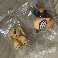 コンドウダイスケ