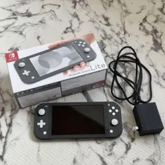 【Switch】Nintendo Switch Lite カセット2個セット