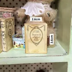 商品説明読んでね　ミニチュア　ネルソン本みたいな豆本1冊　フランスアンティーク