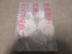 草間彌生・詩集・かくなる憂い 而立書房　２００５年２刷