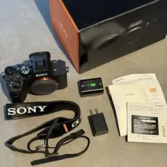 2025年最新】sonyα7ivの人気アイテム - メルカリ