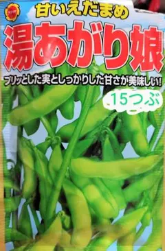 ⭐️湯あがり娘⭐️15つぶ⭐️選べるオマケ付き⭐️育て方付き⭐️