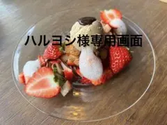 ハルヨシ様 リクエスト 2点 まとめ商品